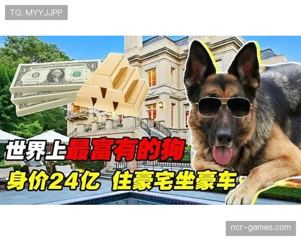 内马尔又双叒叕晒豪车了，这回连狗都戴金链子？